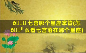 🐋 七宫哪个星座掌管(怎 🐳 么看七宫落在哪个星座)